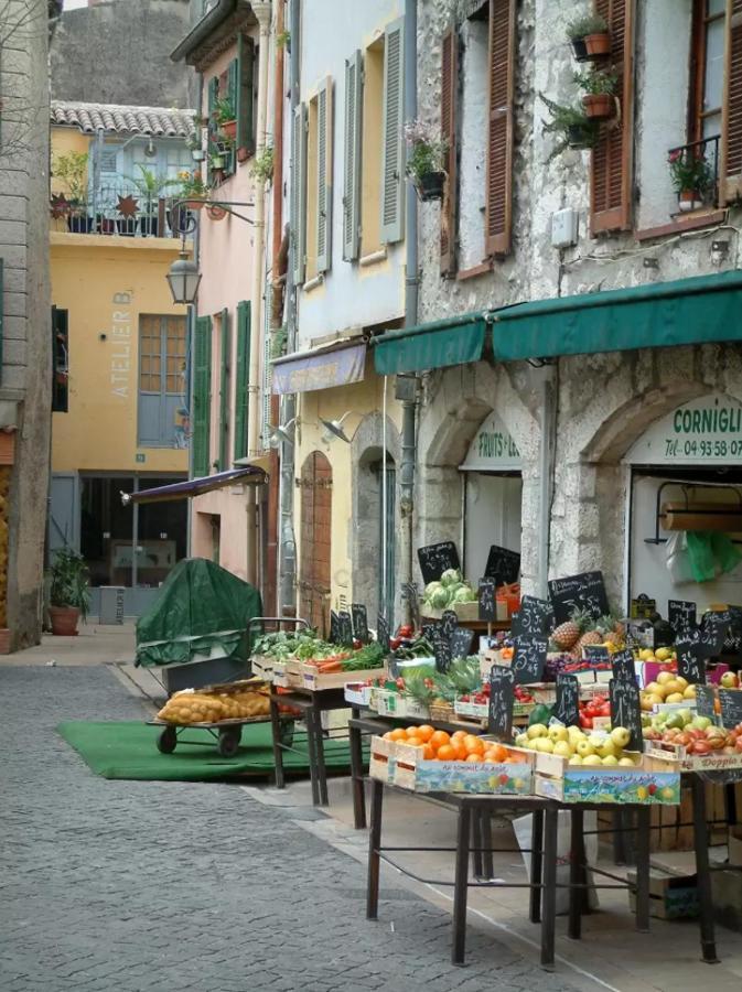 French Riviera Gaudissard Villa Vence Kültér fotó